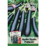 200 Adet Aydın Siyahı Patlıcan Tohumu