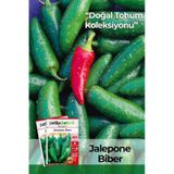 200 Adet Jalapeno Biber Tohumu