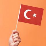 (200 Adet) Küçük Boy Bayrak Çıtalı Kağıt Türk Bayrağı