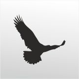 200 cm Kartal Folyo Sticker