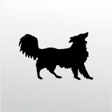 200 cm Köpek Folyo Sticker