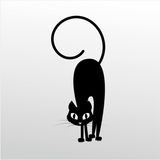 200 cm Korkmuş Kedi Folyo Sticker