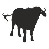 200 cm Manda Folyo Sticker