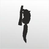 200 cm Rakun Folyo Sticker