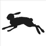200 cm Yabani Tavşan Folyo Sticker