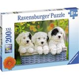 200 Parça Yapboz Puppies