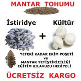 2000 Adet İstiridye Ve 2000 Adet KüLür Mantarı Tohumu