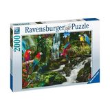 2000 Parçalı Puzzle Renkli Papağanlar