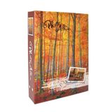 200'lük Sonbahar Desenli 10x15cm Fotoğraf Albümü