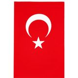 200x300 cm Kumaş Türk Bayrağı Standart Kırmızı