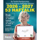 2026-2027 Takvim A4 Ebat 53 Haftalık Planlayıcı Palmlove 21X29,7 cm