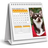 2026 Köpek Masa Takvimi