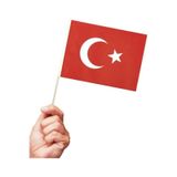 20li Çubuklu Kağıt Türk Bayrağı Çıtalı Sopalı 23 Nisan