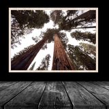 20lik Naturel Krem Poster Resim Puzzle 48x68 cm 1000 parça Çerçevesi PVCli Postersiz Resimsiz Çerçeve