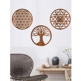212Toyzz Kahverengi Ahşap Yaşam Çiçeği Sriyantra Ve Torus 3 Lü Set Duvar Tablo
