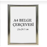 21x30 Fotoğraf Resim Poster Sertifika Çerçevesi