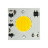 220VOLT 30 Watt Cob LED 30W Projektör Ledi Ray Spot Ledi Gün Işığı