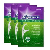 225 adet Brightworks taze nane + bitki bazlı saplı beyazlatıcı diş diş ipi, yetişkinler için süper güçlü diş ipi ve mikro kristalli nane aromalı ip, 75 adet (3'lü paket)