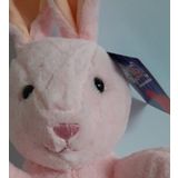 23 Cm Tavşan Peluş