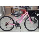 24 EXCEL LADY SALCANO 21VİTES PUDRA PEMBE MOR