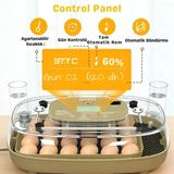 24 Yumurta Kapasiteli Kuluçka Makinesi, Otomatik Çevirme, Isı & Nem Kontrolü, 360° Görüş, Tavuk-Ördek-Bıldırcın-Kaz İçin