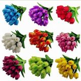 25 Adet 10 Farklı Renk Karışık Lale Çiçeği Tohumu + 10 Adet Hediye K.renk Antoryum Çiçek Tohumu Dtlale0001930