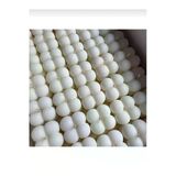 25 Adet Mini Bubble Mum Düğün, Nişan, Söz Için Hediyelik