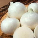 25 Adet Tohum Beyaz Kışlık Kuru Soğan Tohumu