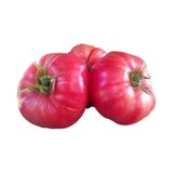 25 Adet Tohum Nadir Iri Bulgar Pembe Domates Tohumu Hobi Bahce Domatesi Tohumu Hediye Tohumlu