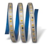 25 Metre Cata Ct 4496 Dış Mekan 120 Ledli Yapışkanlı 220V Şerit Led 3200K Gün Işığı Vitrin