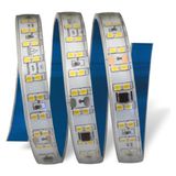 25 Metre Cata Ct 4596 Dış Mekan 240 Ledli 220V Şerit LED 3200K Gün Işığı