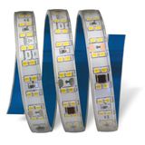 25 Metre Cata Ct 4597 Dış Mekan 240 Ledli 220V Şerit Led Amber Işık Vitrin