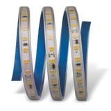 25 Metre Noas Yl41 2207 Dış Mekan 120 Ledli Yapışkanlı 220V Şerit Led 4000K Ilık Beyaz Vitrin