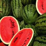 250 Adet Tohum Adana Karpuzu Tohumu Meşhur Adana Karpuzu Tohumu Sürpriz Hediye Tohum