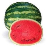 250 Adet Tohum Süper Paket Meşhur Crimson Sweet Karpuzu Tohumu Karpuz Tohumu Sürpriz Hediyeli