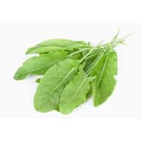 250+ Kuzu Kulağı Otu Tohumu Limon Aromasında N112704