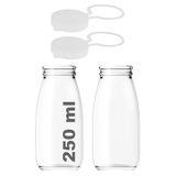 250 ml Şeffaf Sürahi Süt, Ayran, Su, Limonata, Meşrubat Şişesi 250 Cc Askılı Kapaklı Cam Şişe 2 Adet (2, Şeffaf Askılı Kapak, 250)