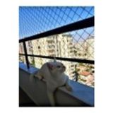 2,50 X 1 Metre Kedi Koruma Filesi Kedi Filesi Balkon Filesi 2 Mm Kedi Güvenlik Filesi Bebek Filesi -