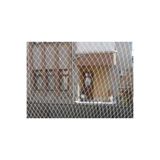 2,50 X 11 Metre Kedi Filesi Güvenlik Filesi Balkon Filesi Balkon Ağı