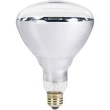 250W Infrared Şeffaf Ampul E27