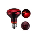 250w Isı Ampulü R125 220v Kırmızı Cam