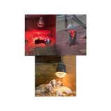 250W Kızılötesi Infrared Hayvan Isıtma ve Fizik Tedavi Lambası, Kırmızı Işık, BR125 - Altın