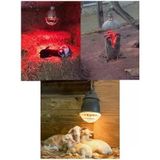 250W Kızılötesi Infrared Hayvan Isıtma Ve Fizik Tedavi Lambası, Kırmızı Işık, Br125