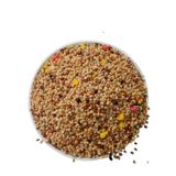 25KG MEYVELİ KARIŞIK MUHABBET KUŞU YEMİ SÜPER KALİTE