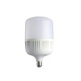 25W Torch Ampul