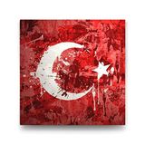 2645 Sanat Türk Bayrağı Kanvas Tablo-40 X 60 Cm