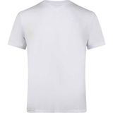 2AS 2ASVICMFBSS24 Victor Viloft V Yaka Karışık Erkek T-shirt