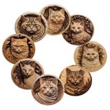 2D Ahşap Kedi Desenli Bardak Altlığı Seti, 8 Parça, 10x10 cm, Oymalı Tasarım, Kahve ve Çay Fincanları için