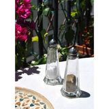 2'li Cam Tuzluk Biberlik Metal Kapaklı Baharatlık - Şeffaf - 40 ml