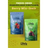 2’li Dondurularak Kurutulmuş Kuru Meyve - Sağlıklı Atıştırmalık - Berry Mix ve Incir Kurusu Freeze Dried - 40 gr